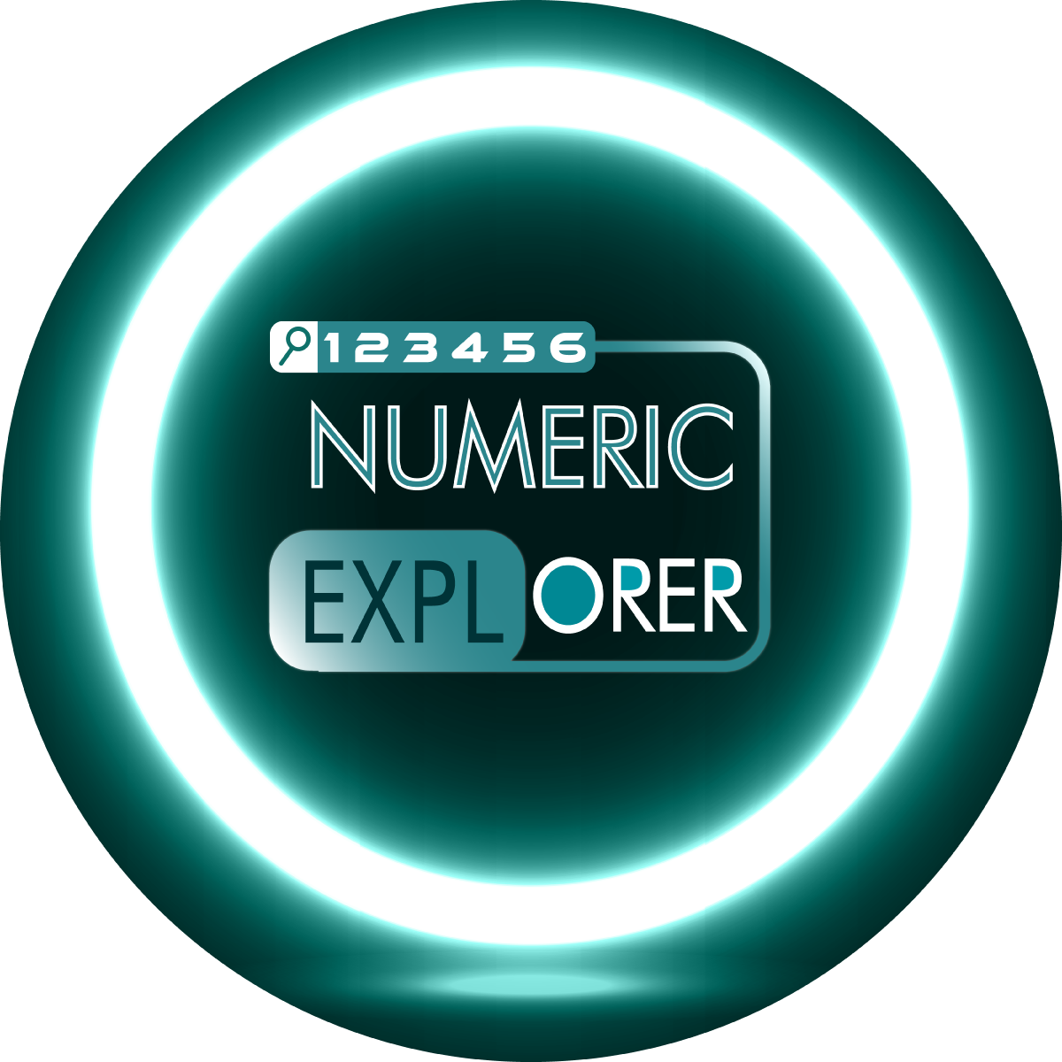 Numeric Explorer